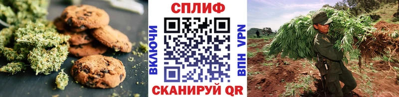 продажа наркотиков  Калач-на-Дону  Cannafood конопля 