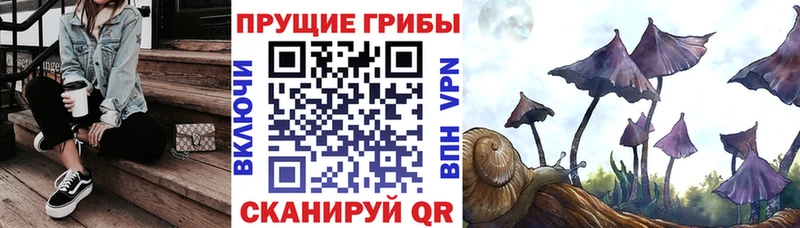 MEGA ССЫЛКА Калач-на-Дону Псилоцибиновые грибы ЛСД